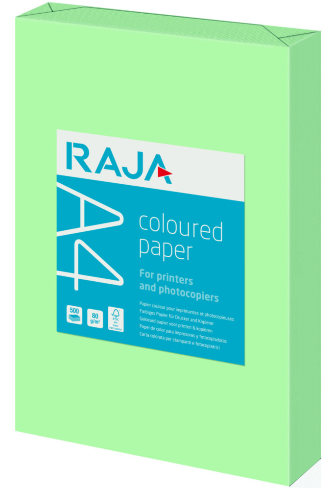 RAJA Papier A4 Coloured Paper - 80g - Ramette de 500 feuilles - Vert Pastel