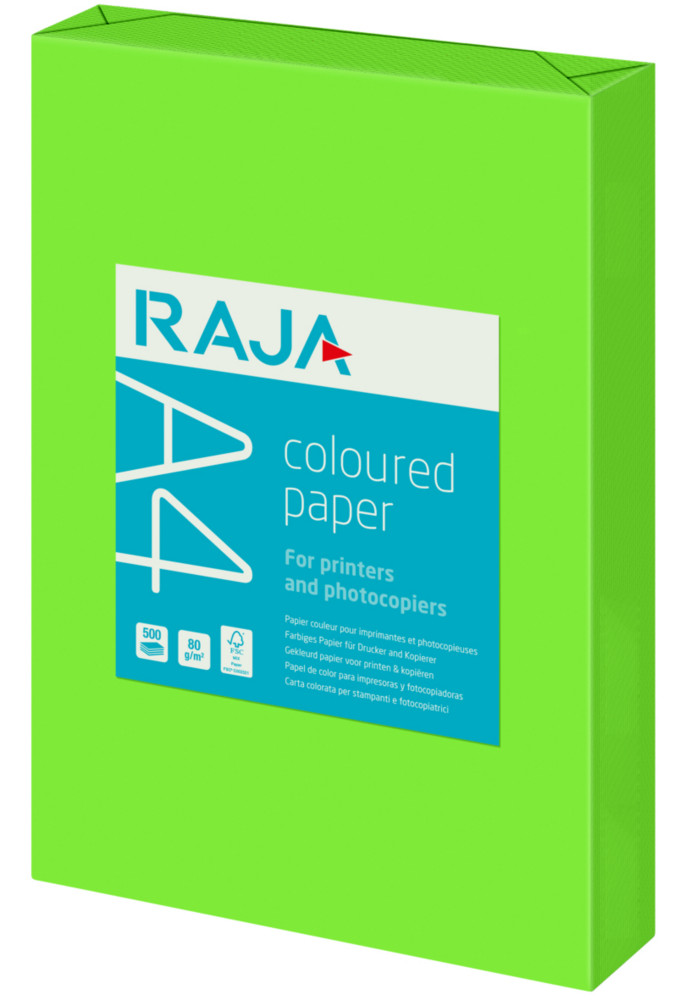 RAJA Papier A4 Coloured Paper - 80g - Ramette de 500 feuilles - Vert Menthe