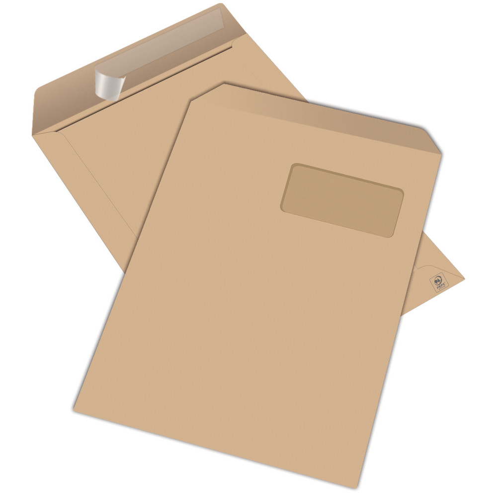 RAJA Pochette kraft brun Ars C4 229 x 324 mm 90g fentre 50 x 100 mm - autocollante - Lot de 250