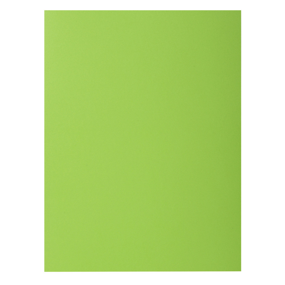 Exacompta Chemises Rock's en carte 210g/m - Vert clair