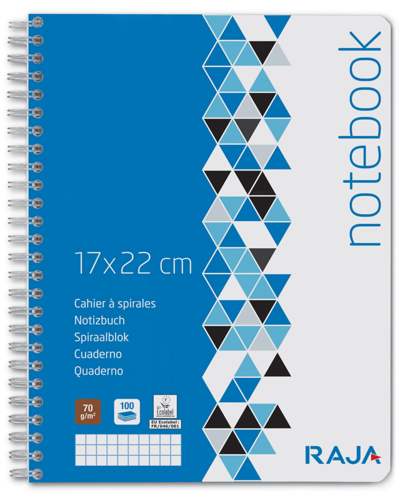 RAJA Cahier  spirale 17 x 22 cm - 70g - Petits carreaux 5x5 - 100 pages