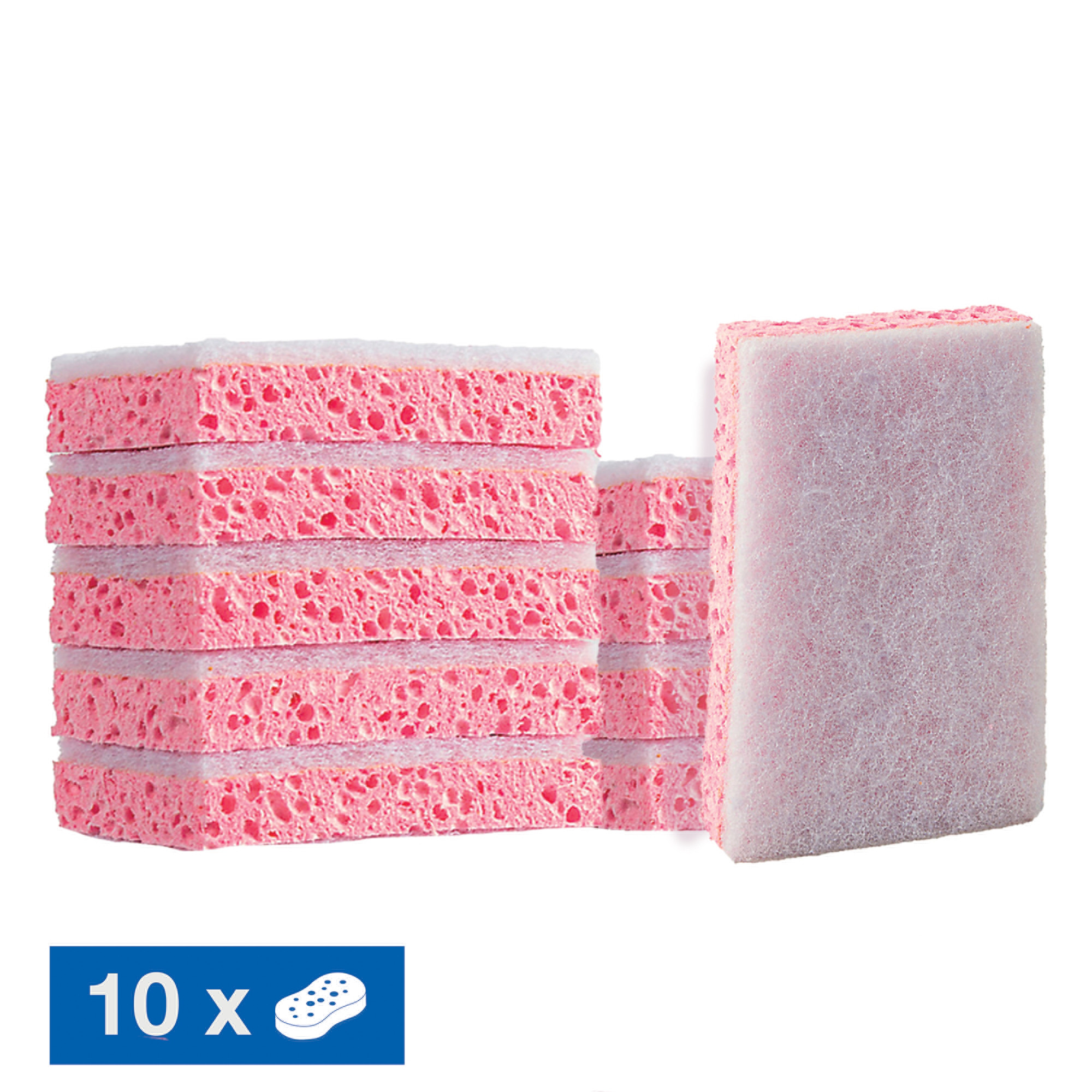 Eponges Sponrex 31, paquet de 10