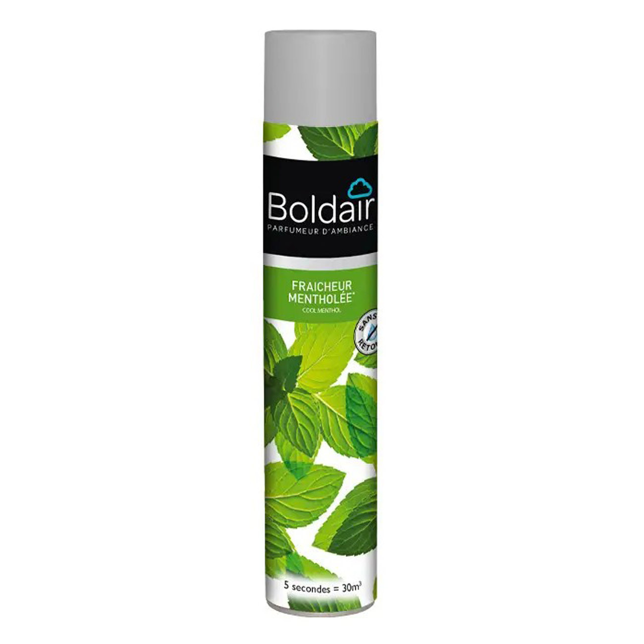 Désodorisant bactéricide Fraîcheur mentholée 500 mL - vue 2