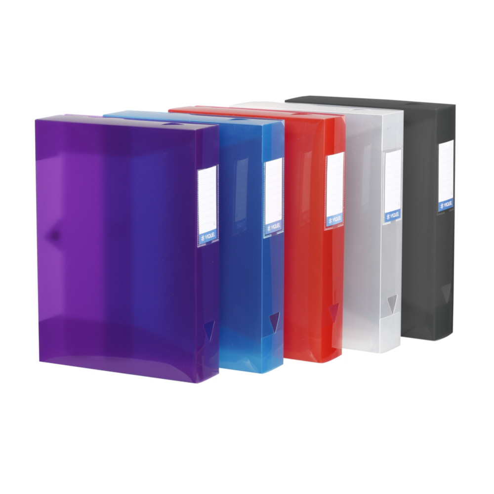 Viquel Bote de classement A4 Propyglass en polypropylne - Dos 6 cm - Coloris assortis