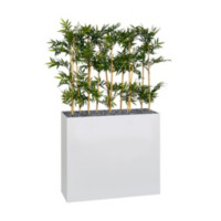 Plantes & Pots