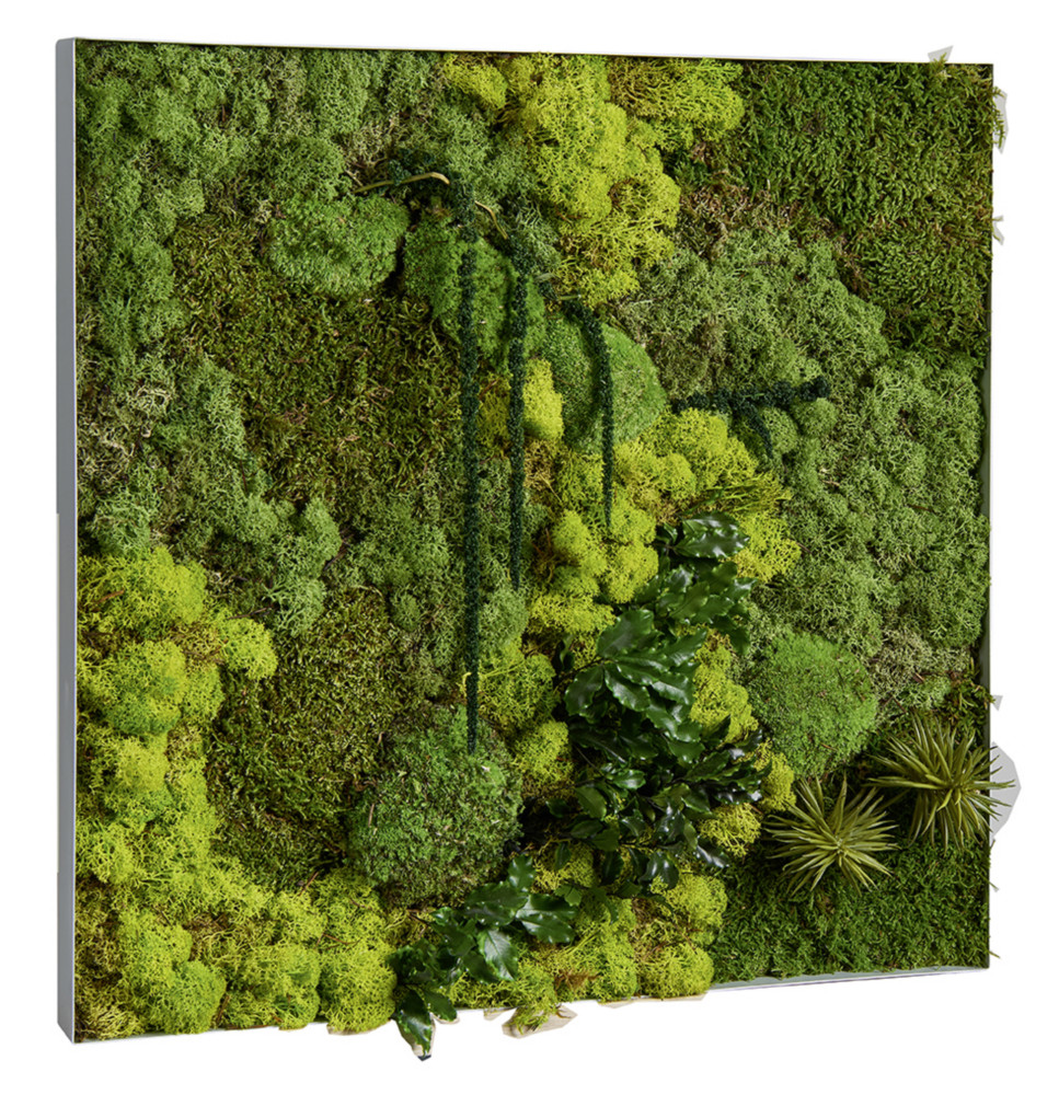 Tableau vgtal de dcoration - Mousse de Finlande stabilise et 100% naturelle - Cadre carr blanc