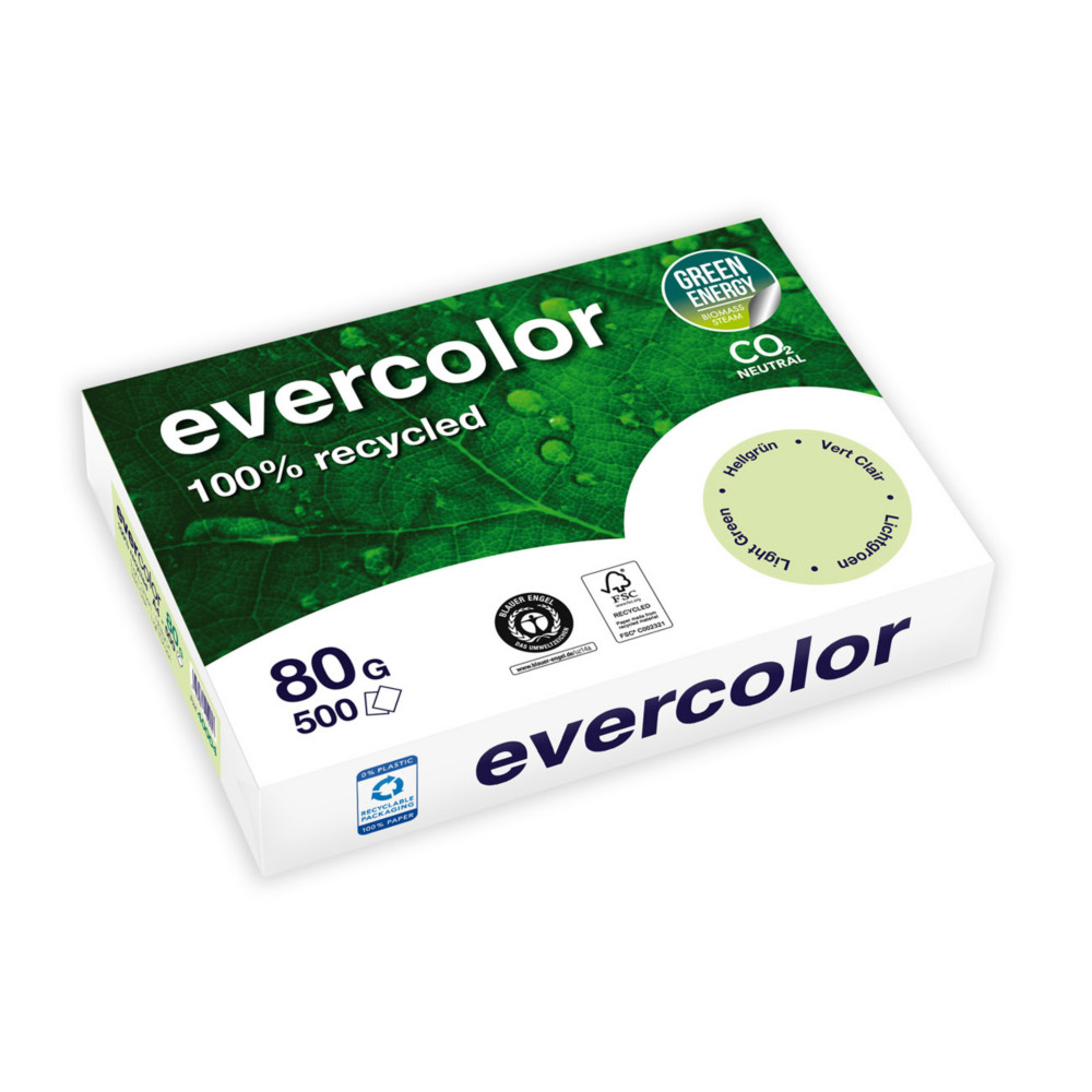 Clairefontaine Papier A4 Evercolor - 80g - Ramette de 500 feuilles - Vert Clair