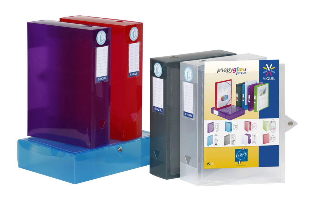 Viquel Bote de classement A4 Propyglass personnalisable en polypropylne - Dos 8 cm - Coloris assortis