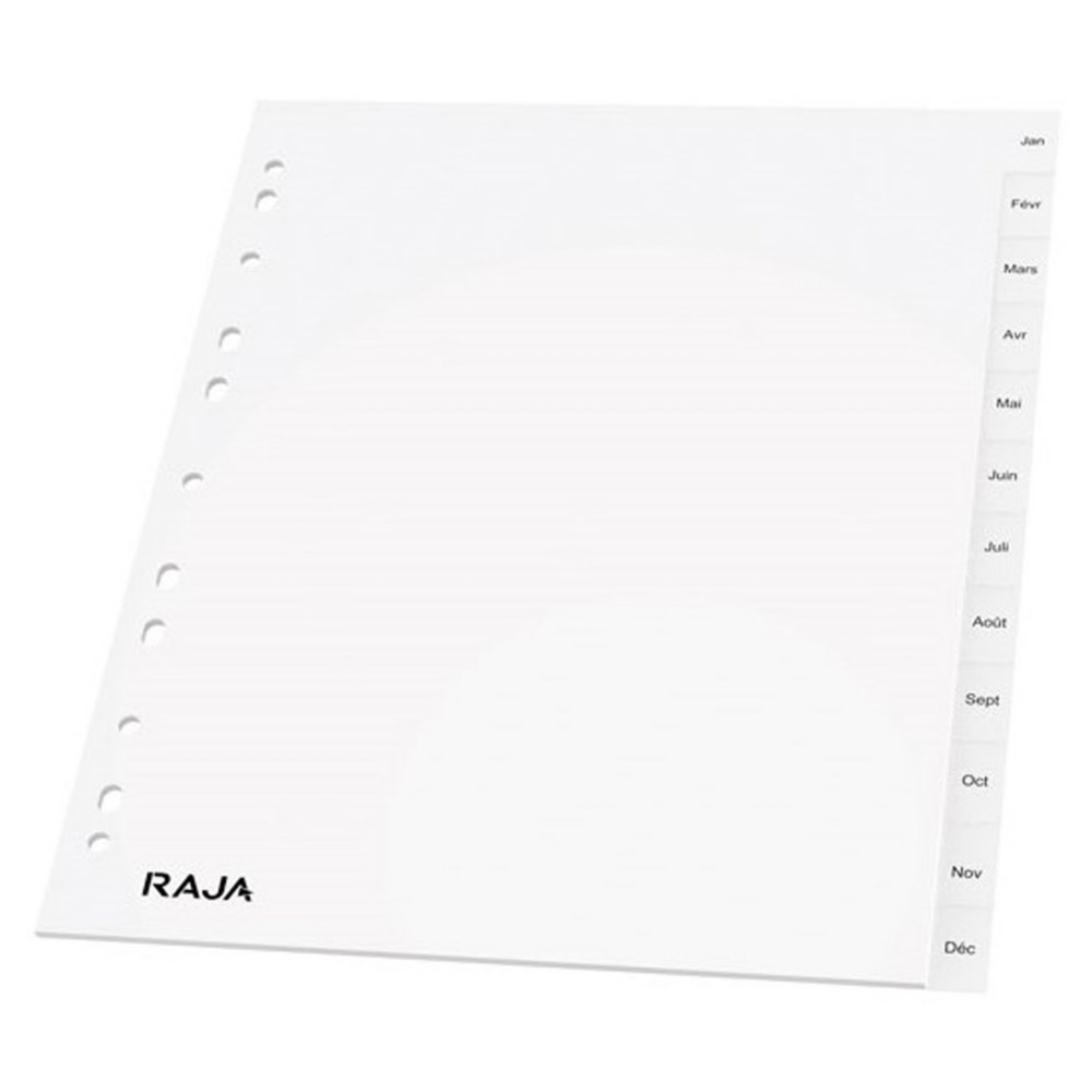 RAJA Intercalaires mensuels A4+ en polypropylne gris - 12 divisions
