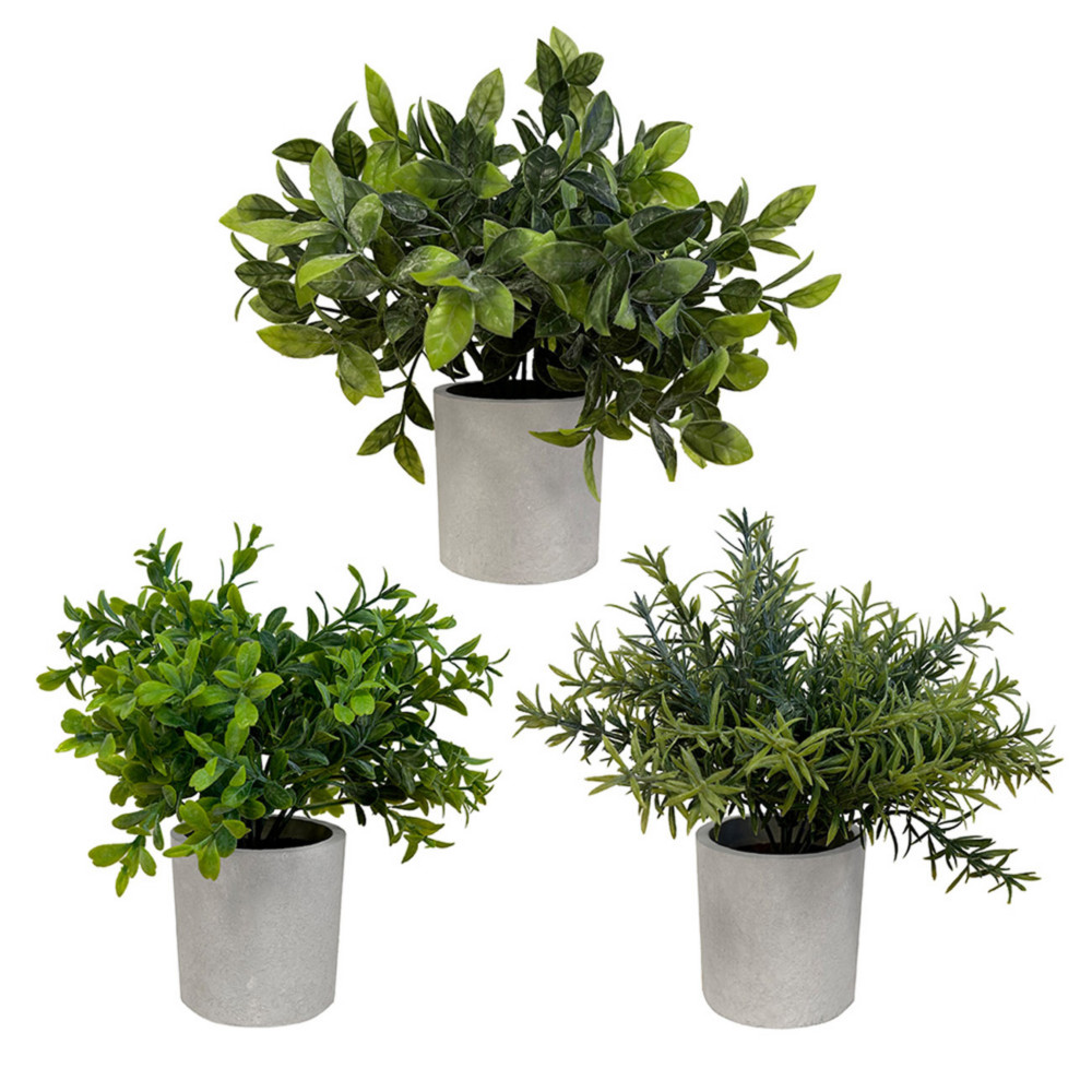Alba Plantes feuillage vert - Arbustes artificiels en pot pour dcoration intrieur - Hauteur 20 cm - Lot de 3