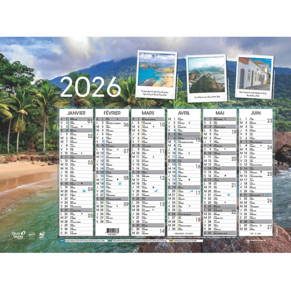 Quo Vadis Calendrier mural annuel Fantaisie vasion - 55 x 40,5 cm - 2026