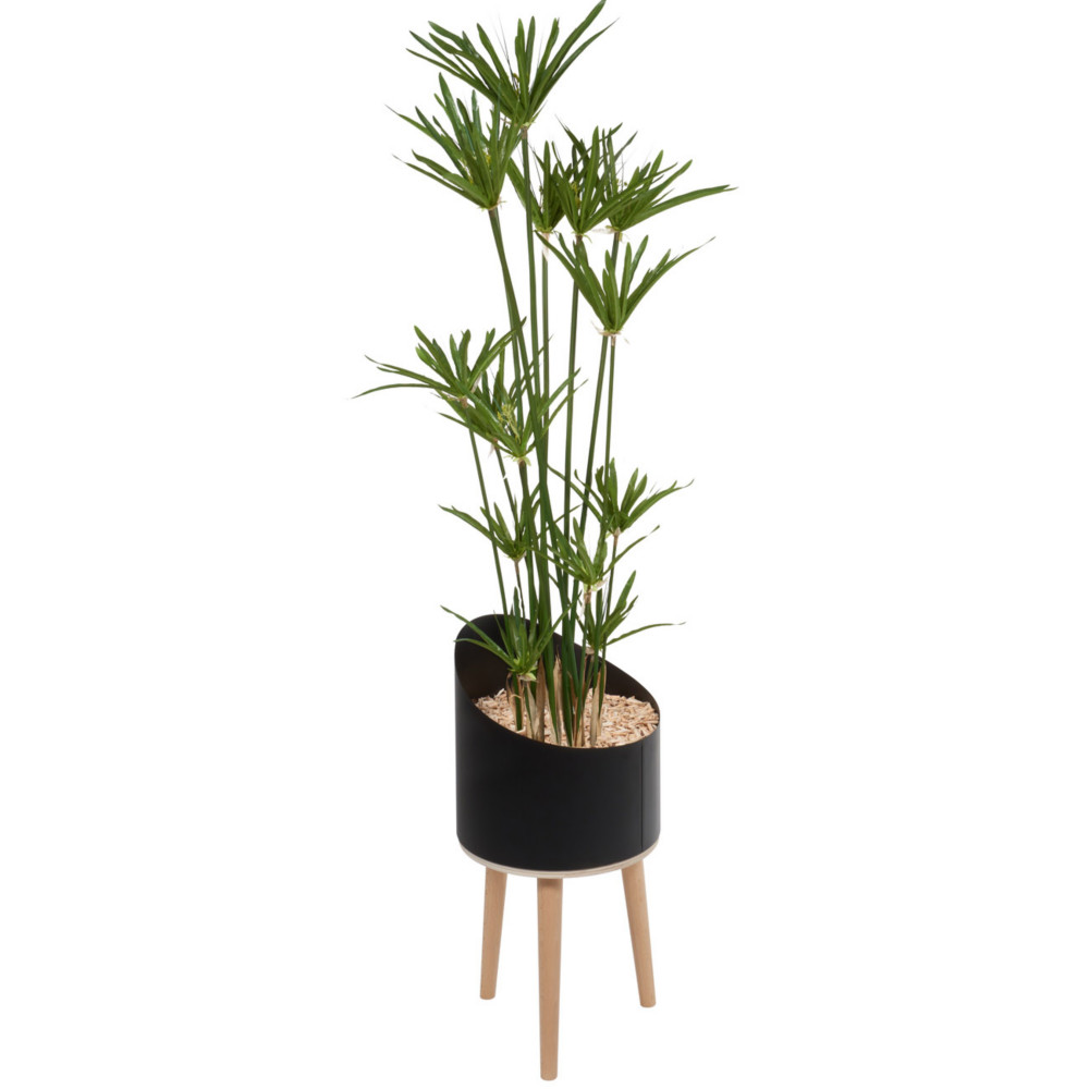 Plante artificielle d'intrieur Papyrus H. 160 cm - Pot noir sur pieds bois