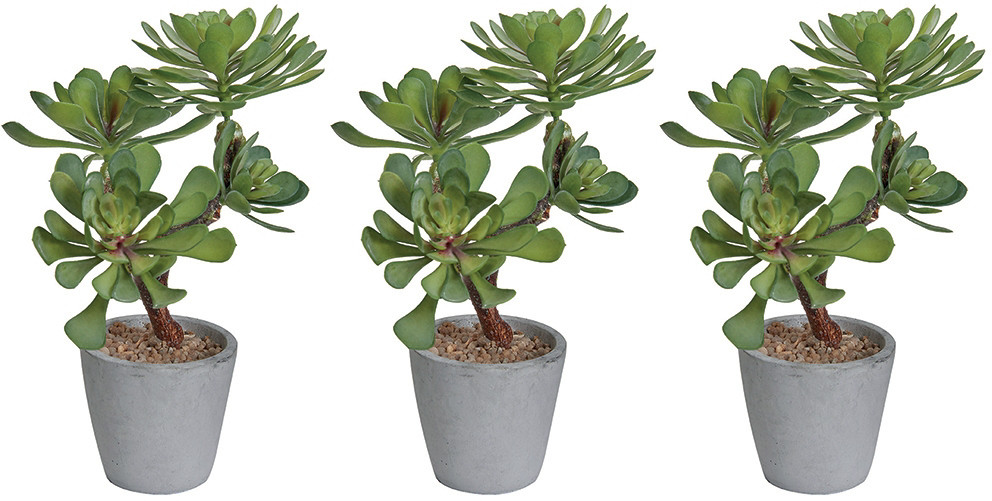 Plante artificielle succulentes - Pot rond en terre cuite - Lot de 3