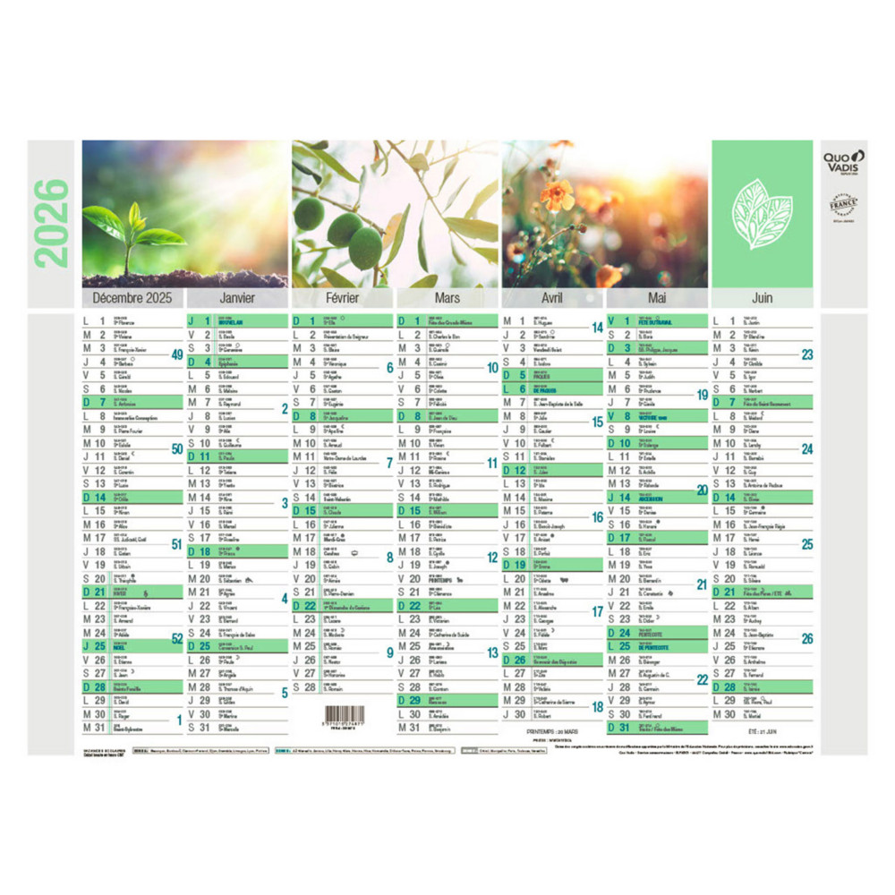 Quo Vadis Calendrier mural annuel Equology - 55 x 40,5 cm - 2026