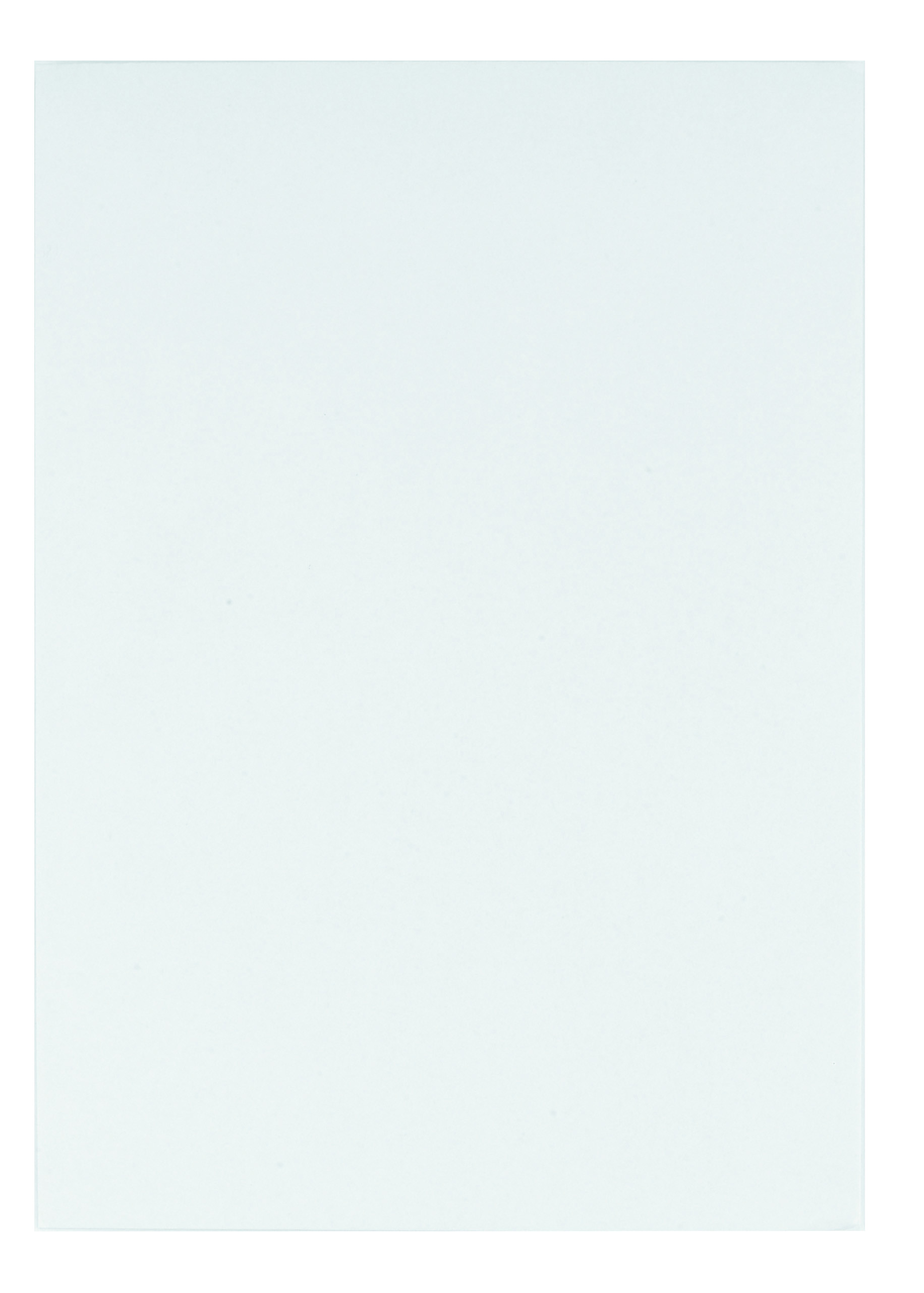 RAJA Pochette blanche C4 229 x 324 mm 90g sans fenêtre - autocollante - Lot de 250
