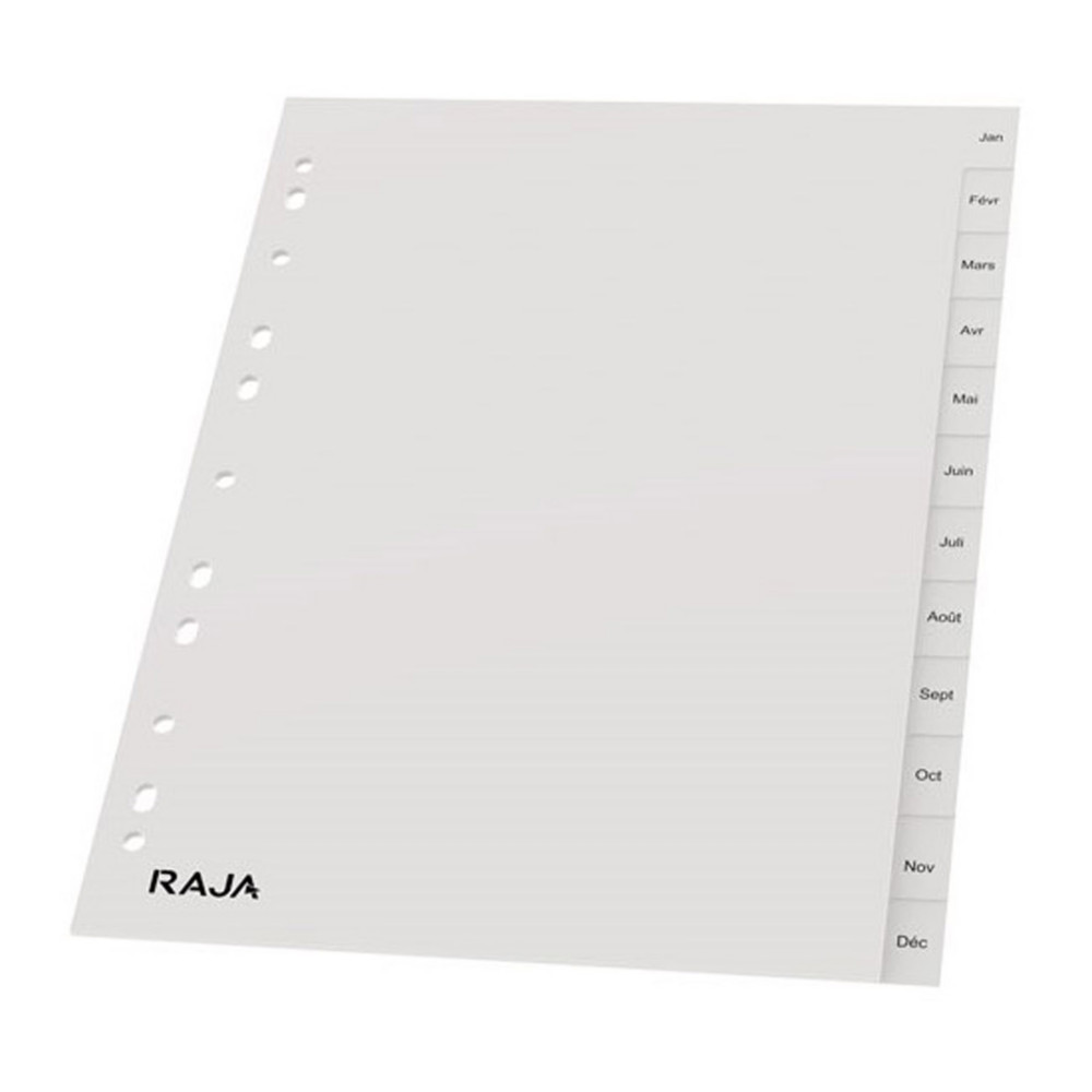 RAJA Intercalaires mensuels A4 en polypropylne gris - 12 divisions