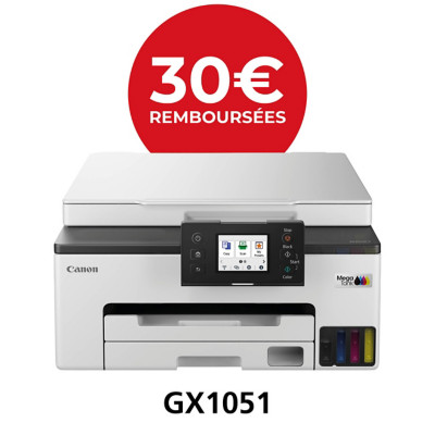 Canon 6169C029 imprimante multifonction Jet d'encre A4 600 x 1200 DPI Wifi