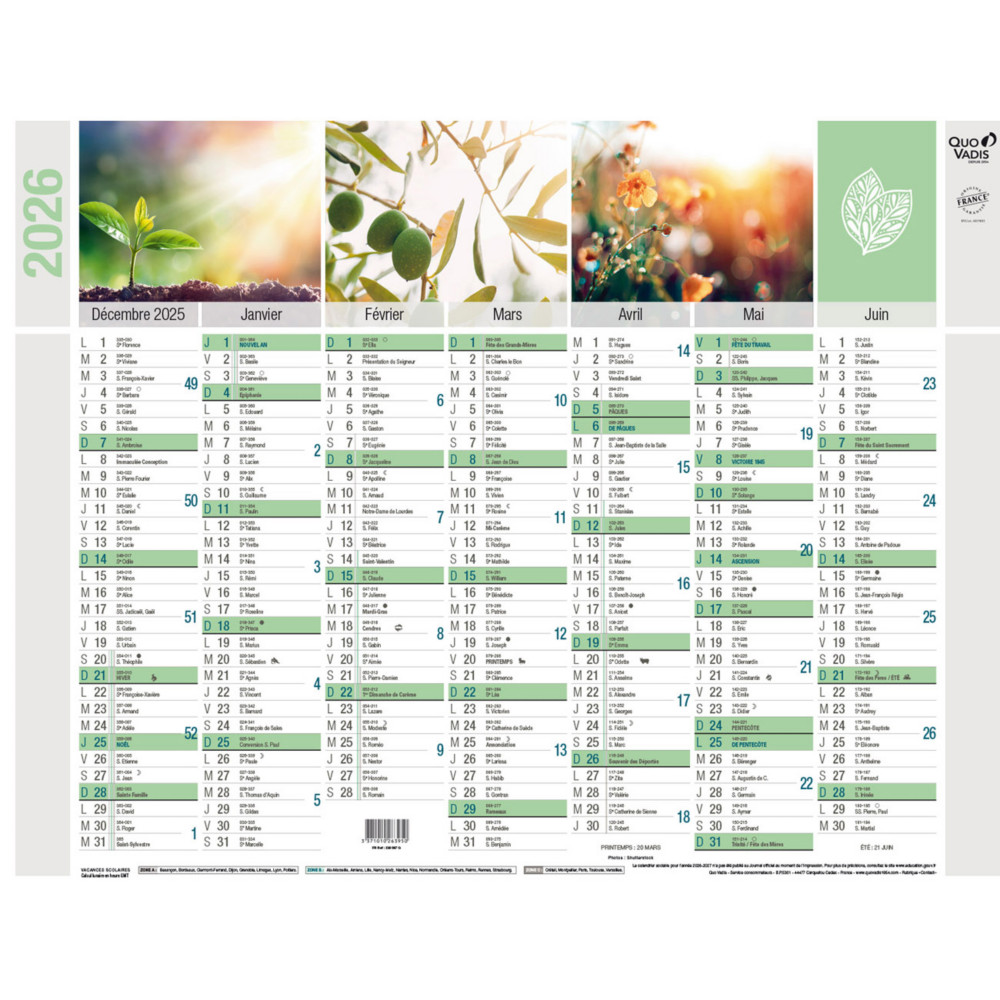 Quo Vadis Calendrier mural annuel Equology - 27 x 21 cm - 2026