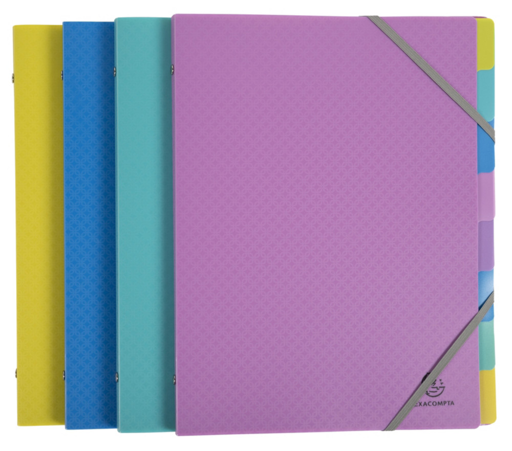 Exacompta Trieur  lastiques Forever Young - polypropylne recycl - 8 divisions - Couleurs assorties