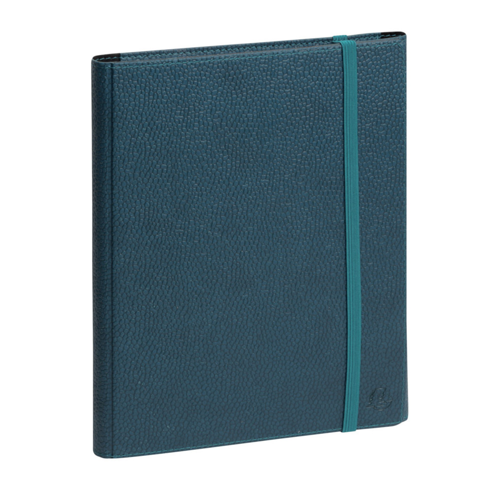 Exacompta Agenda tryptique semainier avec spirales All in One EasyTime - Horizon 20S - 15 x 21 cm - Bleu Canard - 2026