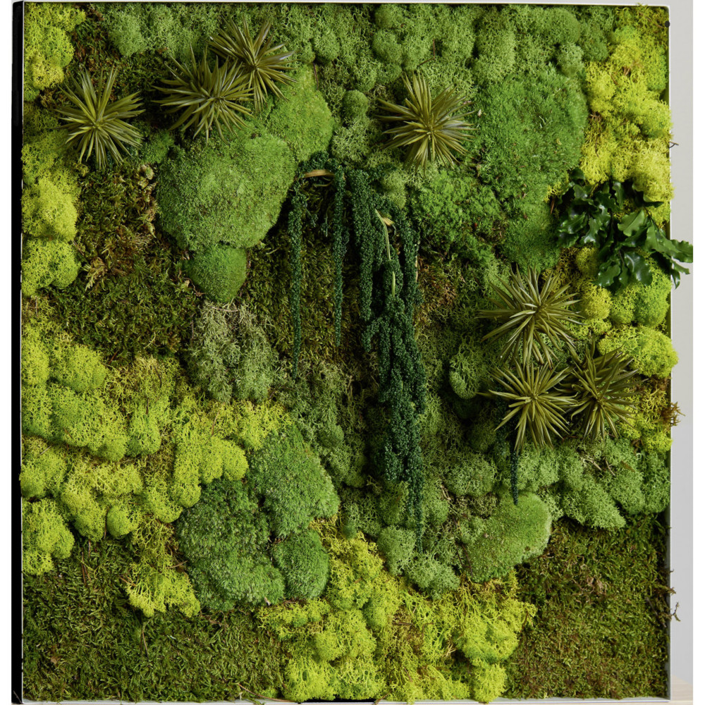 Tableau vgtal de dcoration - Mousse de Finlande stabilise et 100% naturelle - Cadre carr noir