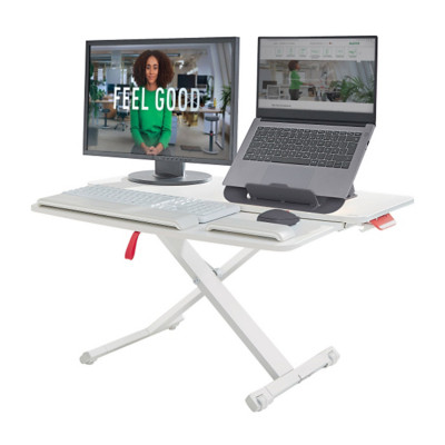 Leitz Station de travail assis-debout Ergo Cosy avec plateau coulissant - Gris
