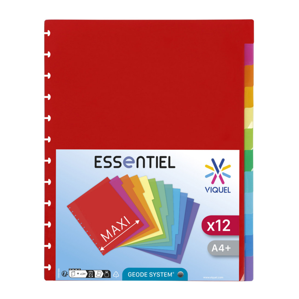 Viquel Intercalaires Gode 12 divisions A4 Maxi en polypro - Coloris assortis