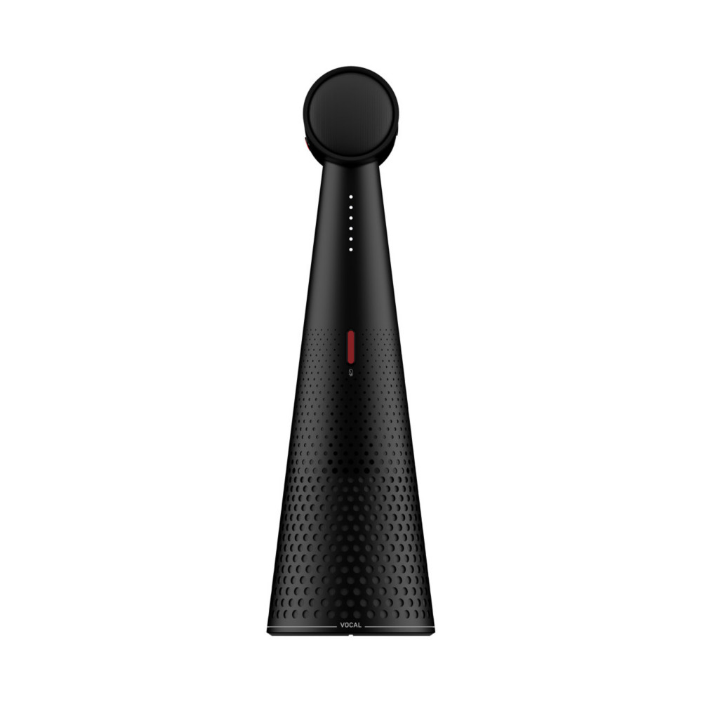 Ipevo Totem Vocal - Haut-parleur Bluetooth et USB-C - Noir