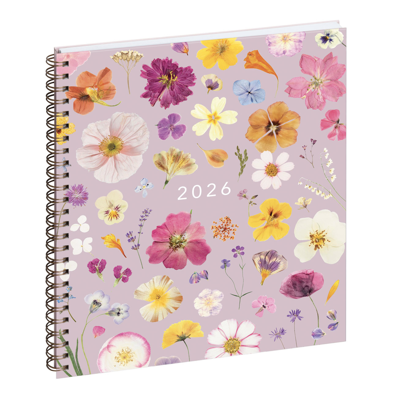 Exacompta Agenda semainier recyclé Eurotime 22S Chemin des marettes - 18,5 x 22,5 cm - Rose - 2026