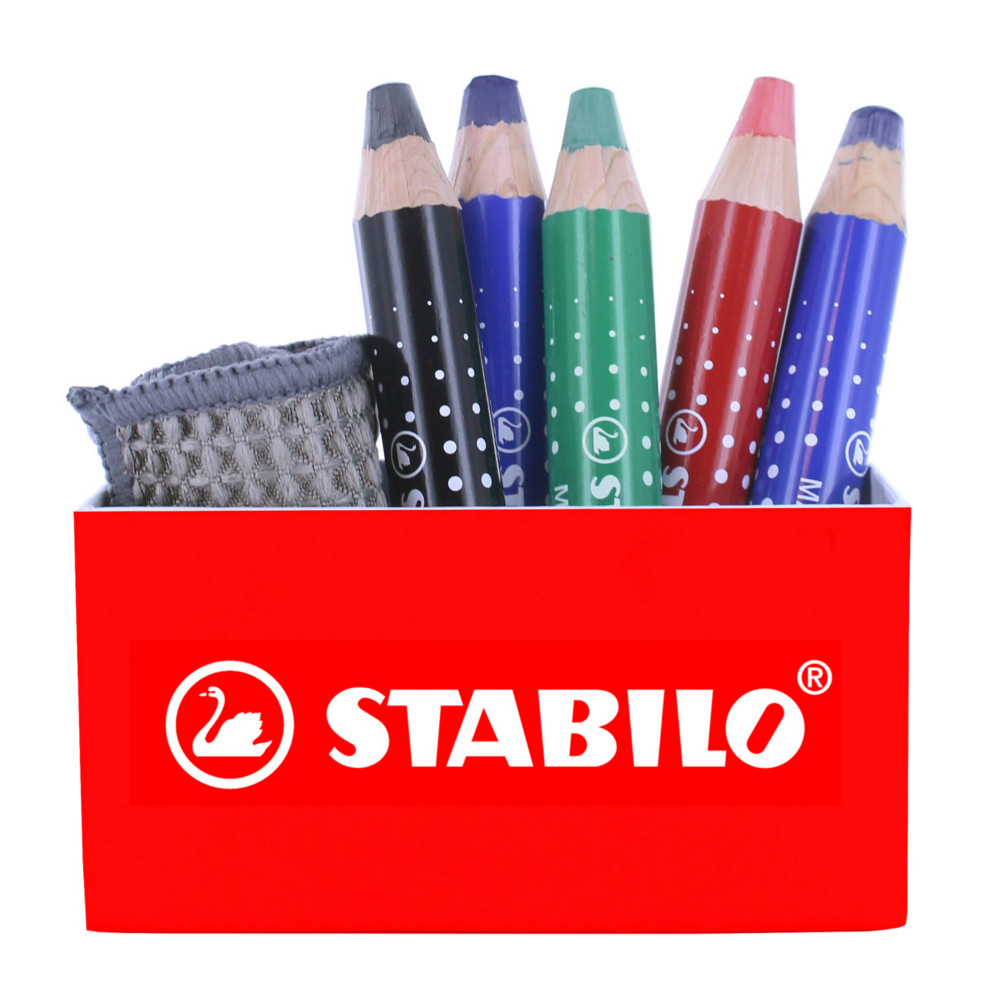 STABILO Pot aimant quip de 5 STABILO MARKDry + 1 chiffonnette