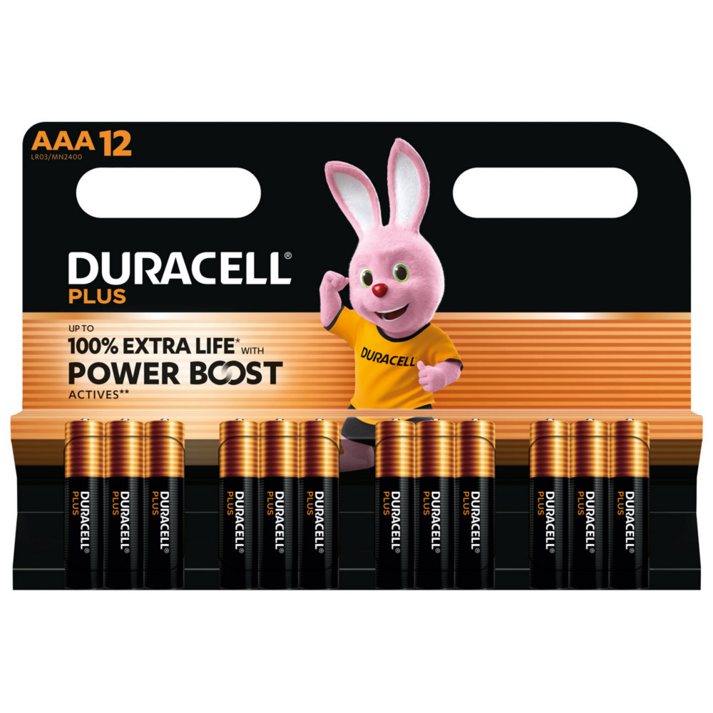 Duracell Pile alcaline AAA / LR3 Plus - Lot de 12