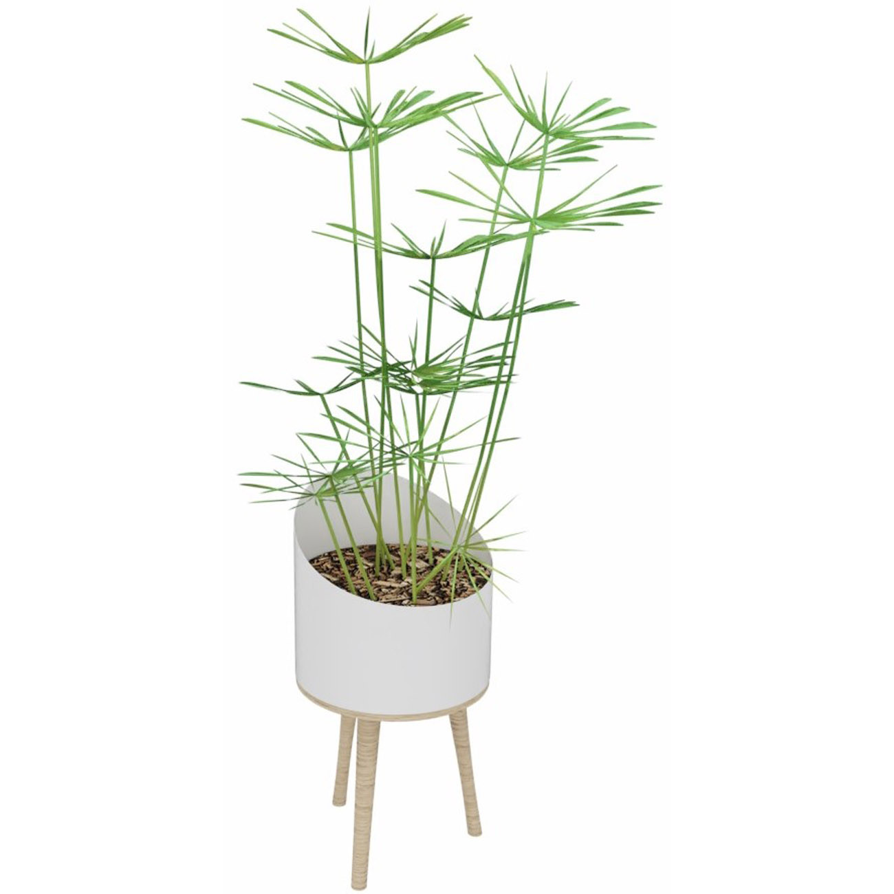 Plante artificielle d'intérieur Papyrus H. 160 cm - Pot blanc sur pieds bois