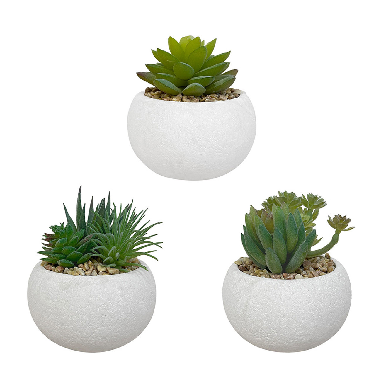 Alba Plantes Succulentes - Plantes grasses artificielles en pot pour décoration intérieur - Lot de 3