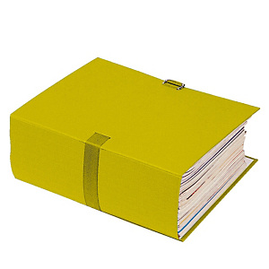 10 chemises extensibles à boucle Exacompta coloris jaune 10 chemises extensibles à boucle Exacompta coloris jaune