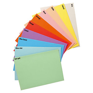100 chemises dossiers Raja, 220G, coloris assortis pastel, 24 x 32 cm