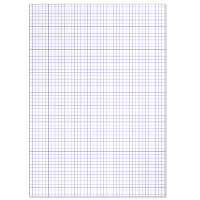 100 fiches bristol quadrillées  21 x 29,7 cm  Exacompta coloris blanc, la boîte