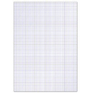 100 geruite bristol kaarten 21 x 29.7 cm  Exacompta kleur wit, per doos