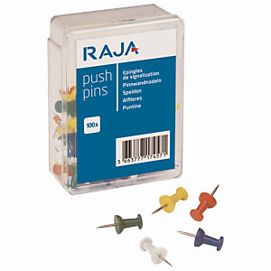 100 punaises épingles de signalisation Raja, pointe 0,7 mm, coloris assortis, la boite