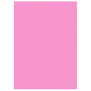 100 Raja dosiermappen, 220 g, roze, 24 x 32 cm