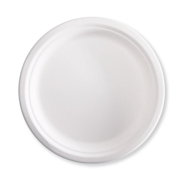 125 piatti piani biodegradabili 2 scomparto diametro 23 cm - 4