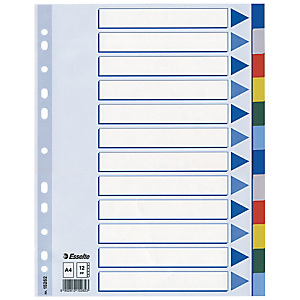 2 jeux d'intercalaires 12 touches renforcées neutres multicolores Esselte en polypro format A4 2 jeux d'intercalaires 12 touches renforcées neutres multicolores Esselte en polypro format A4