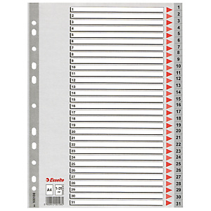 2 jeux d' intercalaires 31 touches imprimées numériques coloris gris Esselte en polypro format A4 2 jeux d' intercalaires 31 touches imprimées numériques coloris gris Esselte en polypro format A4