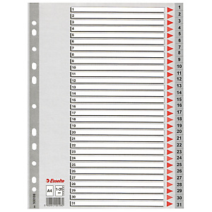 2 jeux d' intercalaires 31 touches imprimées numériques coloris gris Esselte en polypro format A4