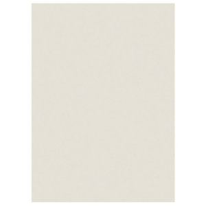 250 sous-chemises Raja, 60G, coloris pastel gris, 22 x 31 cm