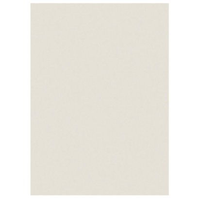 250 sous-chemises Raja, 60G, coloris pastel gris, 22 x 31 cm