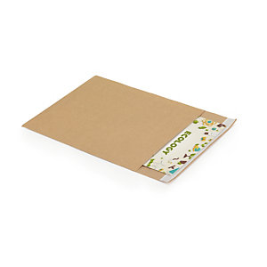 350 pochettes papier kraft Raja 24 x 30 cm coloris brun, le lot