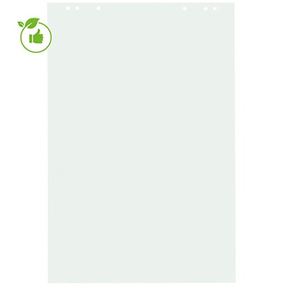 5 blocs de 48 feuilles en papier recyclé Raja, format 65x100 cm, coloris blanc, 60 g/m²