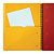 5 cahiers Activebook 160 pages lignées Oxford International coloris orange, le lot - 4