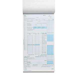 5 manifolds autocopiants pré-imprimés bulletin de paye dupli 24 x 13,5 Exacompta, le lot