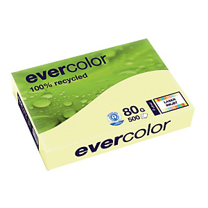 5 papierpakken Clairefontaine Evercolor kleur geel A4 80 g 5 papierpakken Clairefontaine Evercolor kleur geel A4 80 g